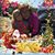 Pam Dansereau's profile image