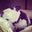 Jenny Wielk's profile image