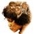 Sophia Jones's profile image