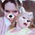 Rebecca Everetts's profile image