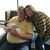 Janie Wright-Meeker's profile image