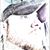 Matt Erwin's profile image