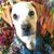 Lori Richard's profile image