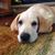 Dave Tytler's profile image