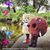 Rita Maria Gullo's profile image