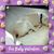 Janet Tolley's profile image