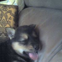 Anonymous's profile image