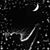 NovaLea Bradshaw's profile image