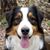 Joyce Charron's profile image