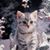 Pippa Dukinfield's profile image