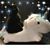 Michelle Butler's profile image
