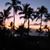 Donna Cook Nesseler's profile image