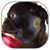 Sharon N Donny Anderson's profile image