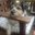 Alexandra Altvater's profile image