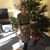 Kelley Perry Kinnicutt's profile image