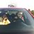 Sharon Loek's profile image