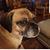 Beth Buddin Cooler's profile image