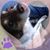 Adrianne Kessenich's profile image