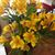 Tabitha Martz O'Connor's profile image