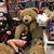 Tammy King's profile image
