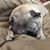 Cindy Peterson's profile image