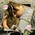 Susan McCarthy's profile image