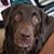 Karla Frey Ott's profile image
