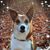Kristy Gapen-Hoke's profile image
