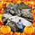 Melondy Rankin Jackson's profile image