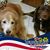 Marsha Lemley's profile image