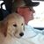 Steve Jeffries's profile image