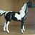 Rosemary Honerkamp's profile image