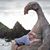 Alice Burnett's profile image