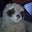 Derek DeVeaux's profile image