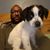 Victor Collins's profile image