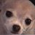 Barbara Large's profile image