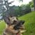 Tracy Howard's profile image