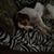 Patti Hubbard's profile image