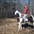 Debbie Judd McManus's profile image