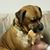 Wanda Goering's profile image