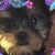 Sherry House's profile image