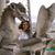 Melissa Jean Melton's profile image