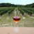 Christine Lindsay's profile image