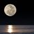 Tanya Saylors's profile image