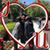 Cookie McNeil's profile image