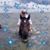 Kim Alden's profile image