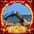 Kathy Groom Cline's profile image