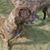 Susan E. Kauffman's profile image