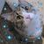 Michele Kotlarsky's profile image