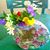 Judy Crandall's profile image